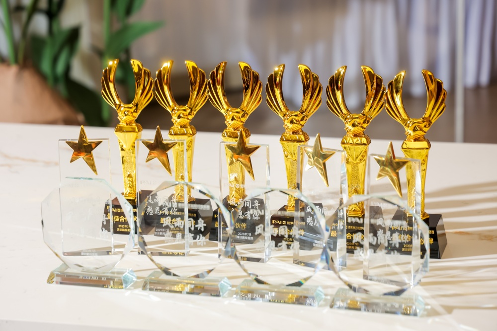  深圳鹏程医院-风雨同舟奖